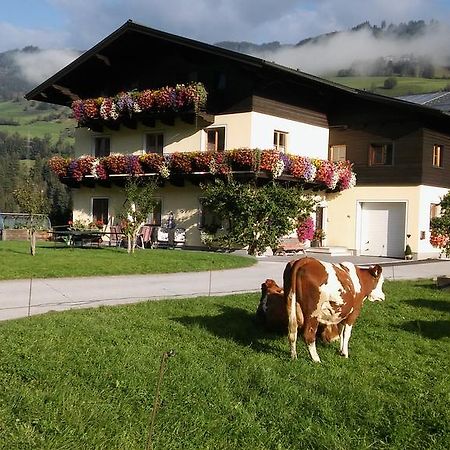 Rieserhof/Fam. Meissnitzer Taxenbach Exterior foto